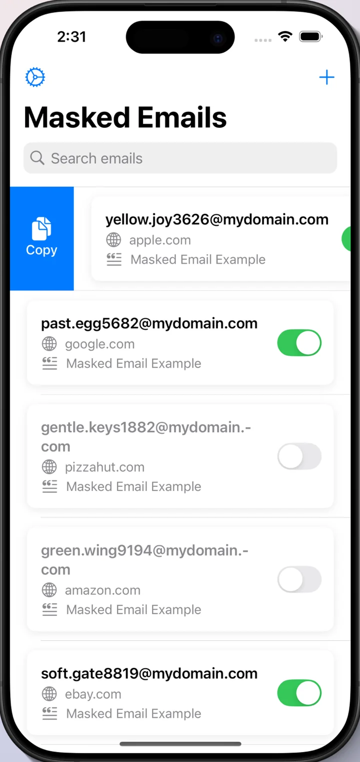 A row in the list swiped open to reveal a blue Copy action.